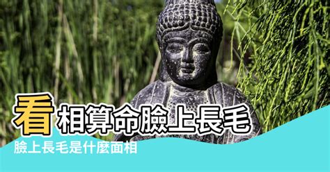 臉上有毛面相|臉上毛與個人運勢有關